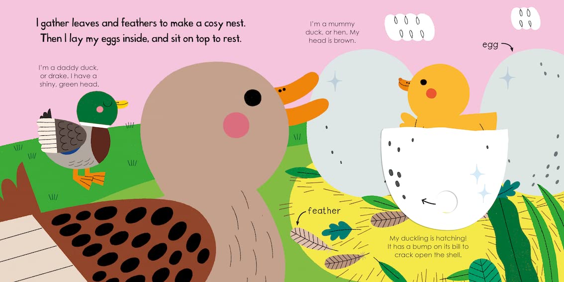My Little Green World: Duck | Campbell Books