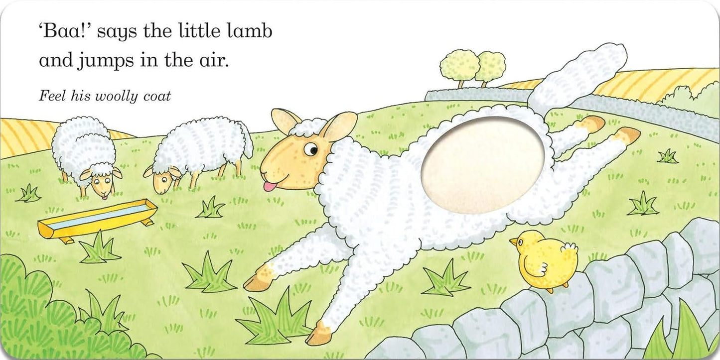 Fluffy Chick | Rod Campbell