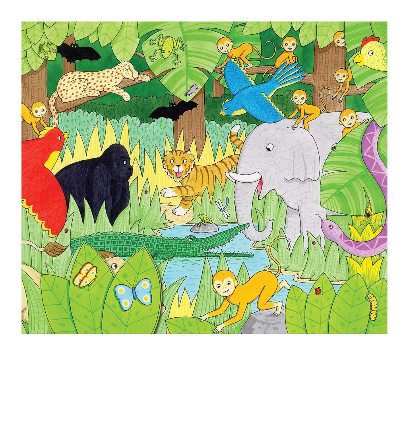 Our Jungle | Campbell Books