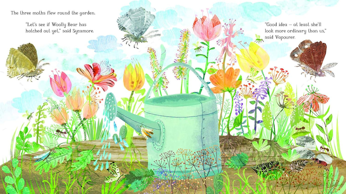 The Woolly Bear Caterpillar