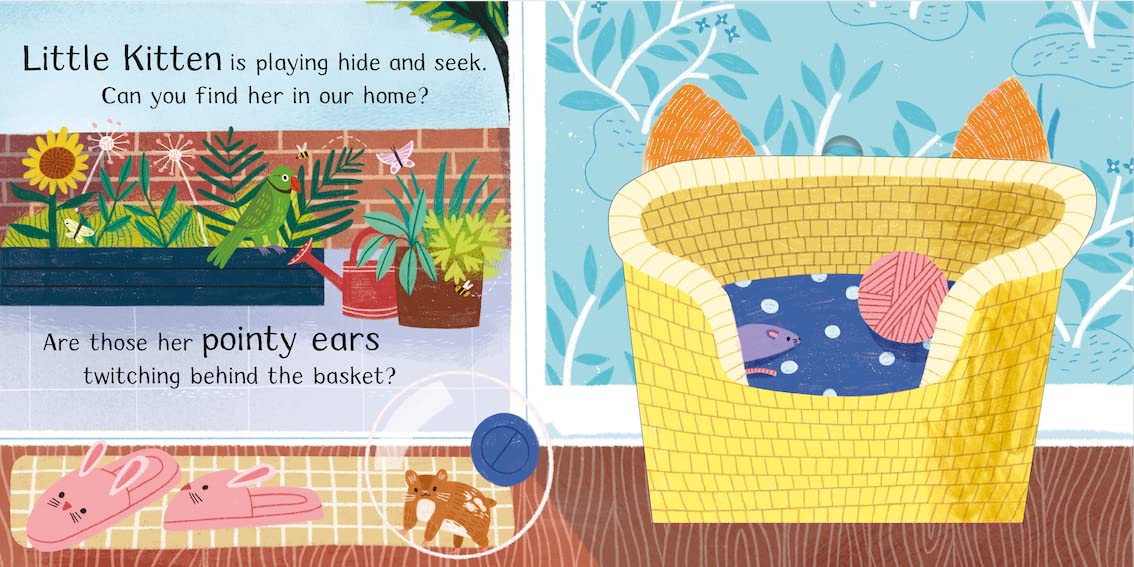 Where is Little Kitten? |  Jean Claude