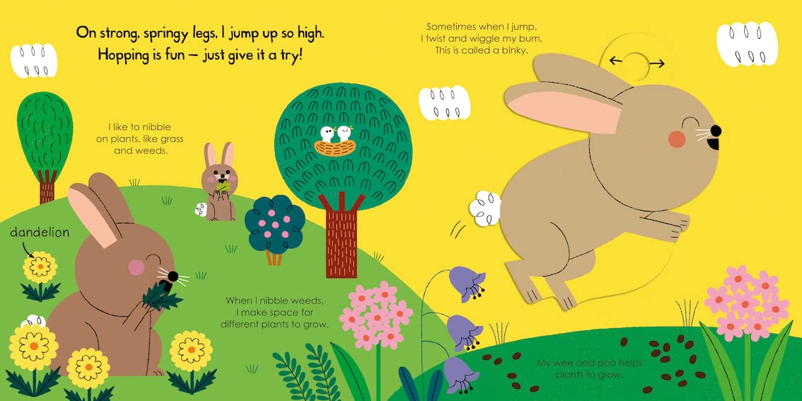 My Little Green World: Rabbit |  Campbell Books
