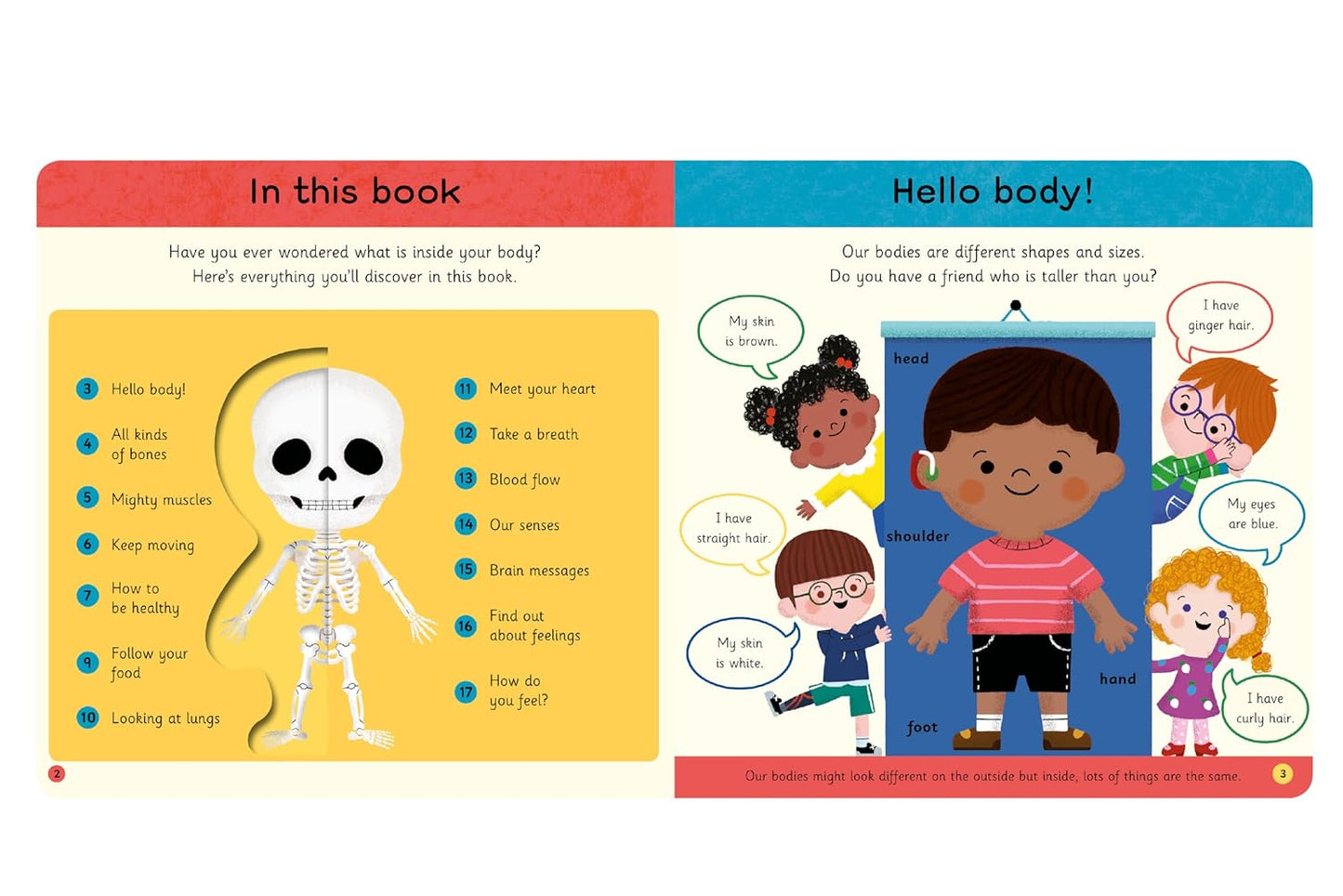 My First Body Book
