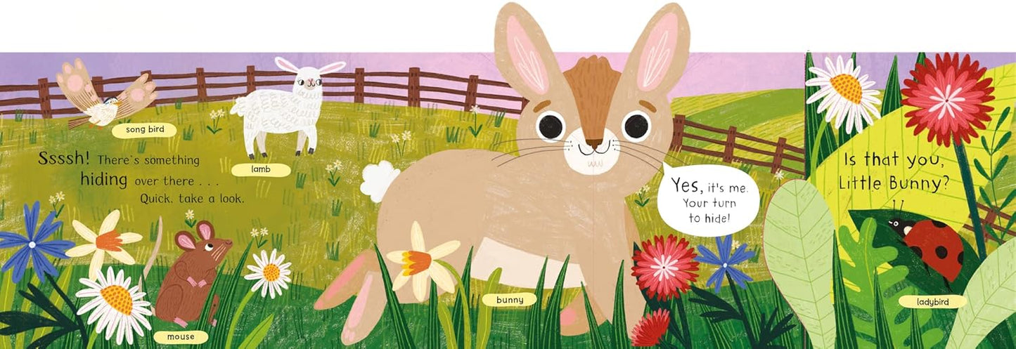 Where is Little Bunny? |  Campbell Books