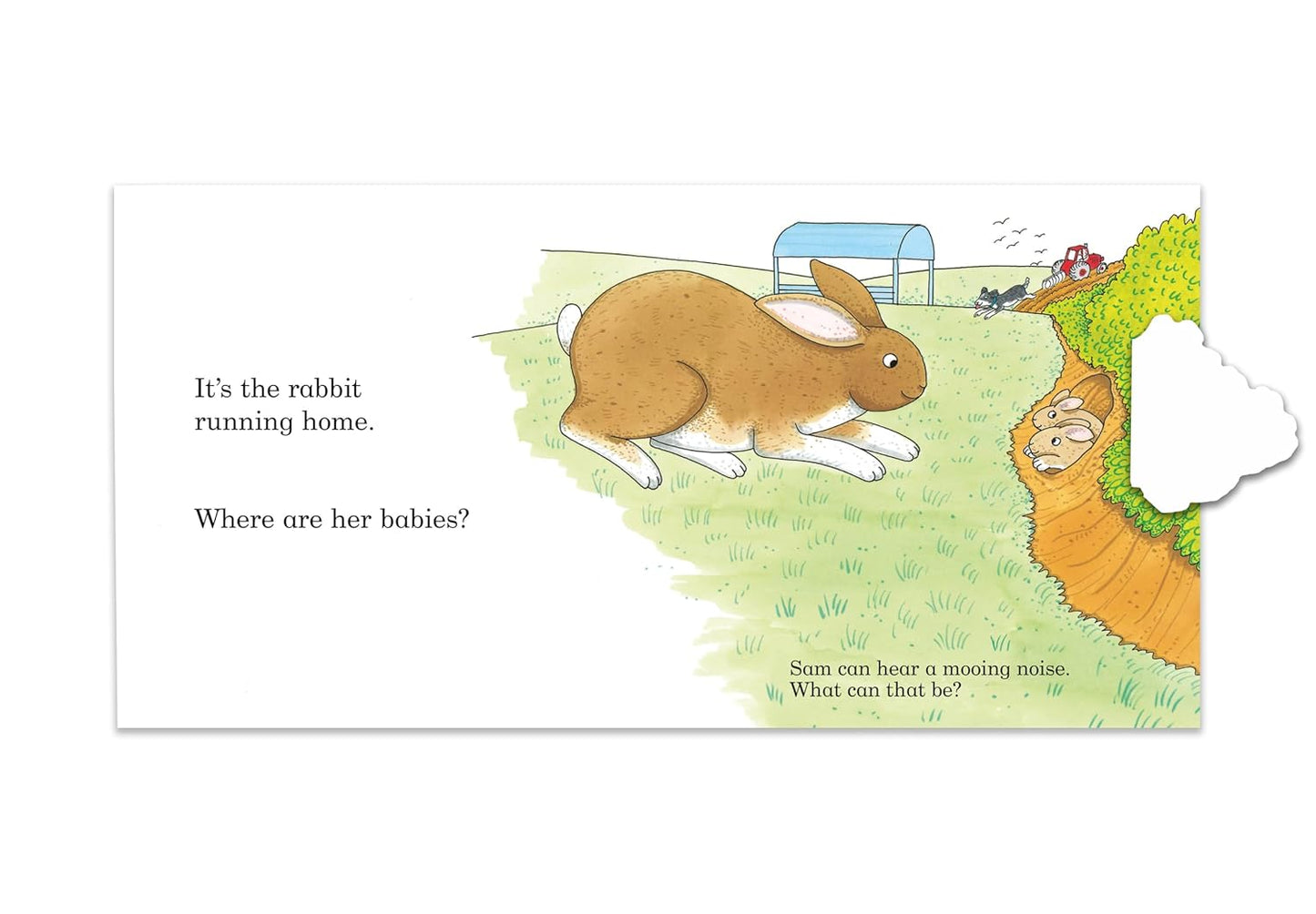 Noisy Farm: A lift-the-flap book |Rod Campbell