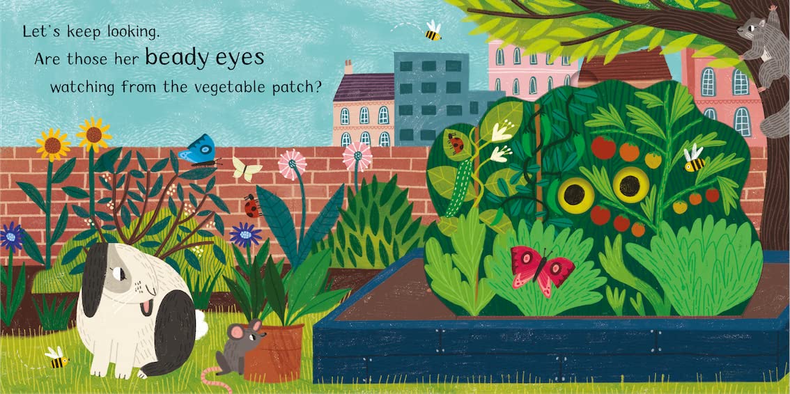 Where is Little Kitten? |  Jean Claude