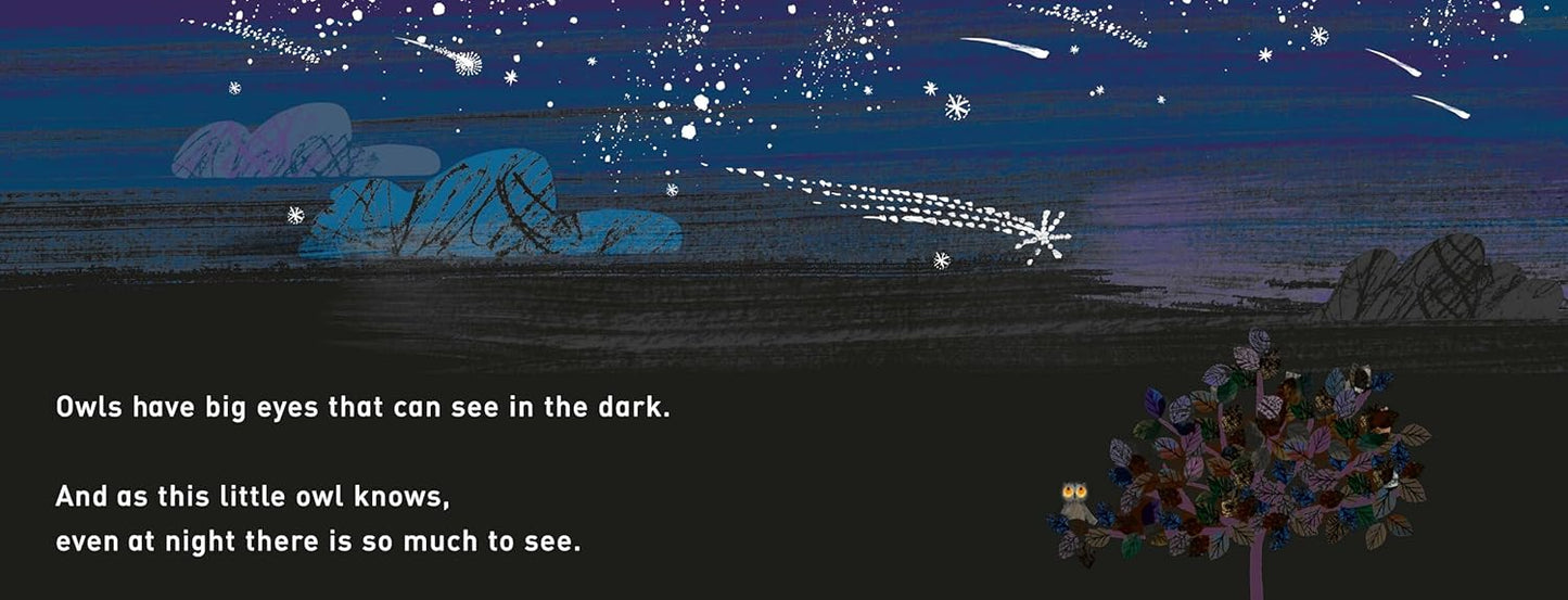 WOW! It's Night Time | Tim Hopgood