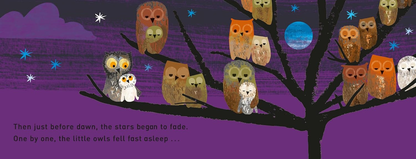 WOW! It's Night Time | Tim Hopgood