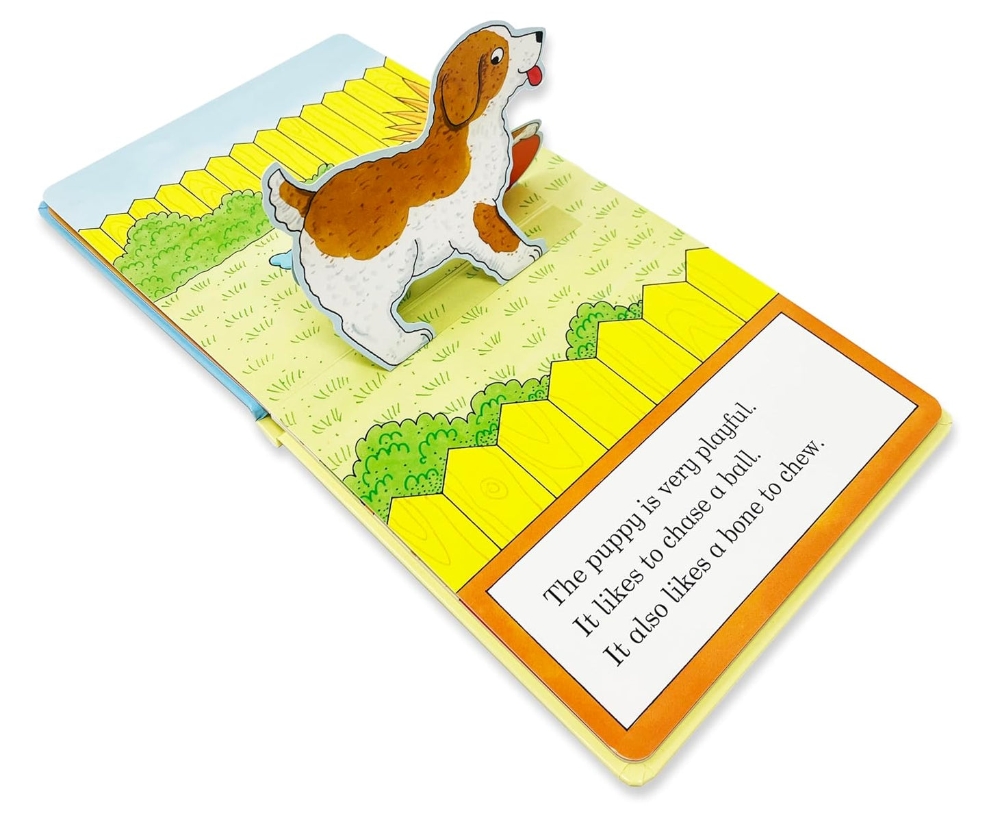 My Stand-Up Baby Animals | Rod Campbell