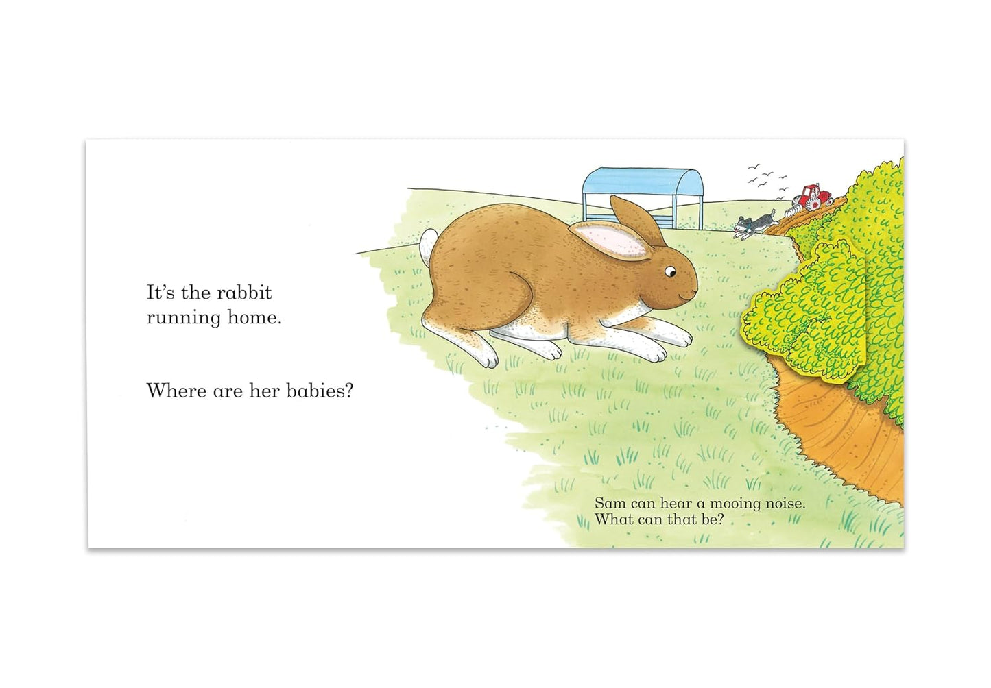 Noisy Farm: A lift-the-flap book |Rod Campbell