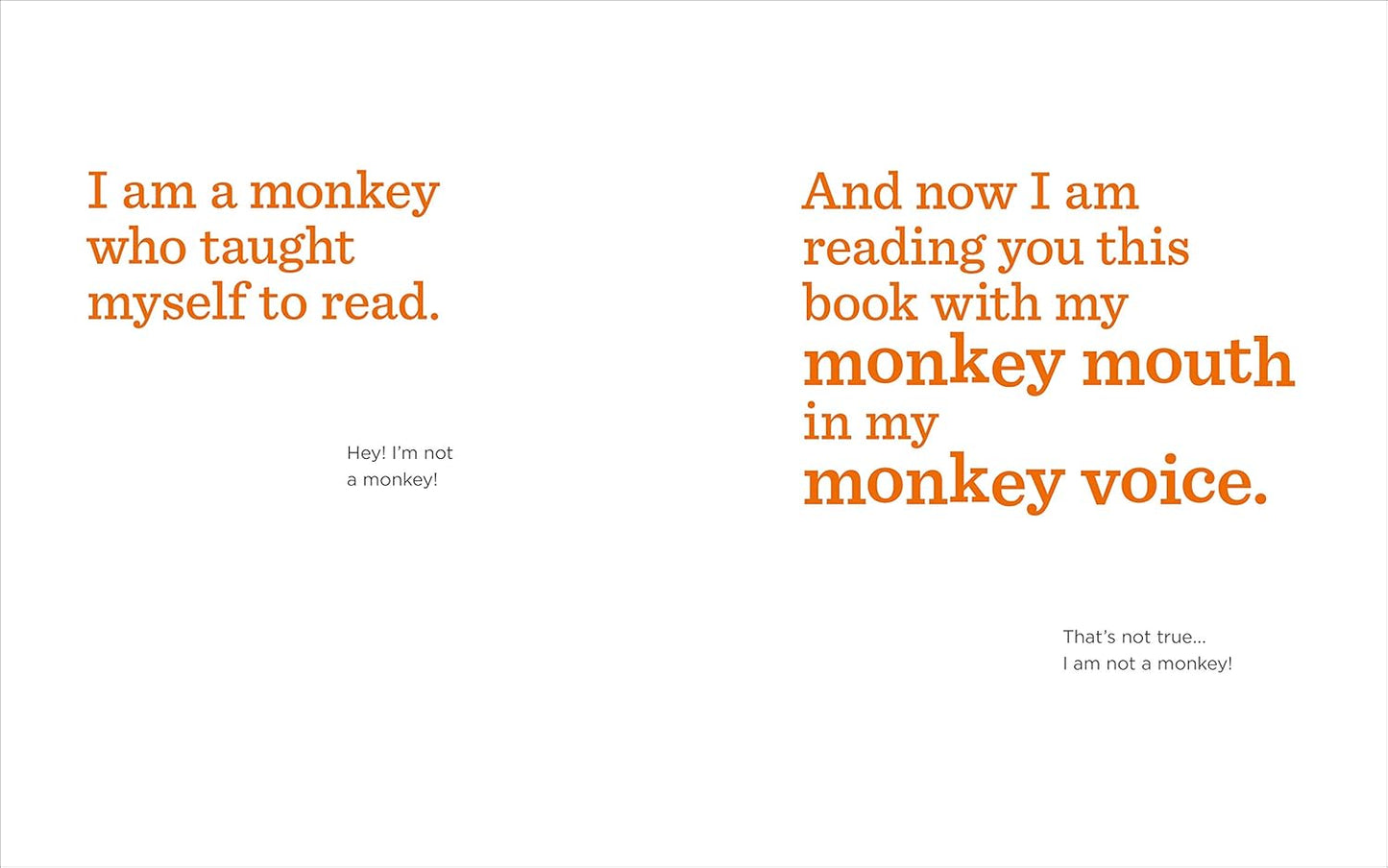 The Book With No Pictures | B.J. Novak
