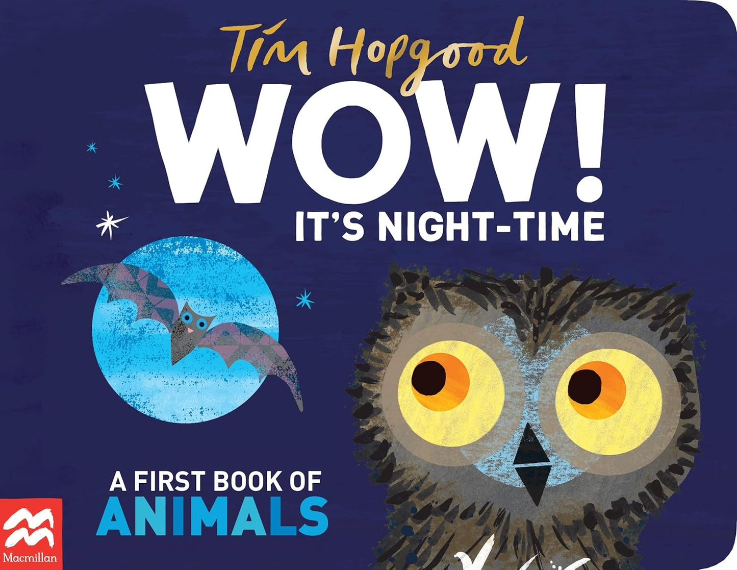 WOW! It's Night Time | Tim Hopgood
