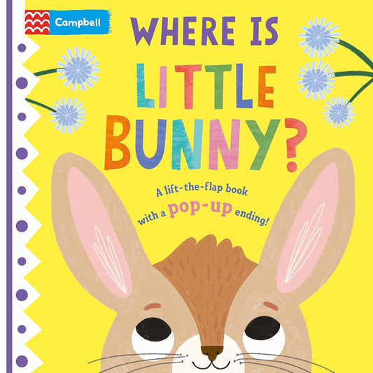 Where is Little Bunny? |  Campbell Books