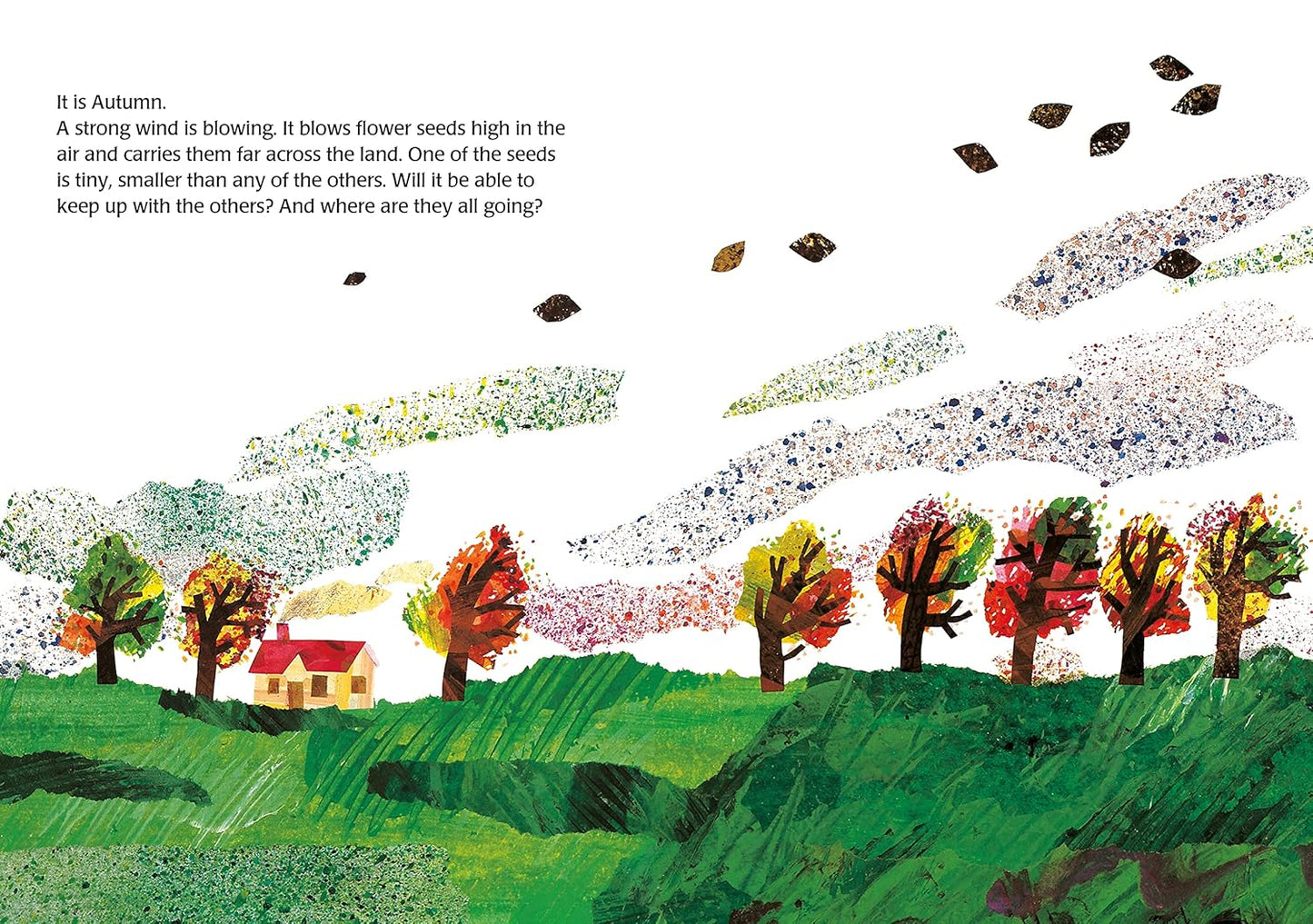 The Tiny Seed | Eric Carle