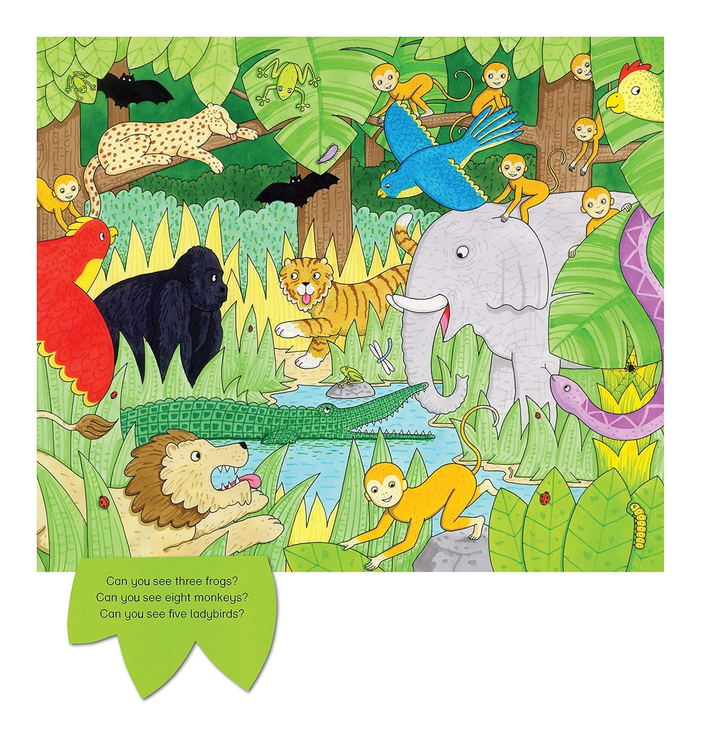 Our Jungle |  Campbell Books