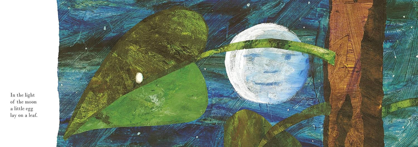 The Very Hungry Caterpillar | Eric Carle