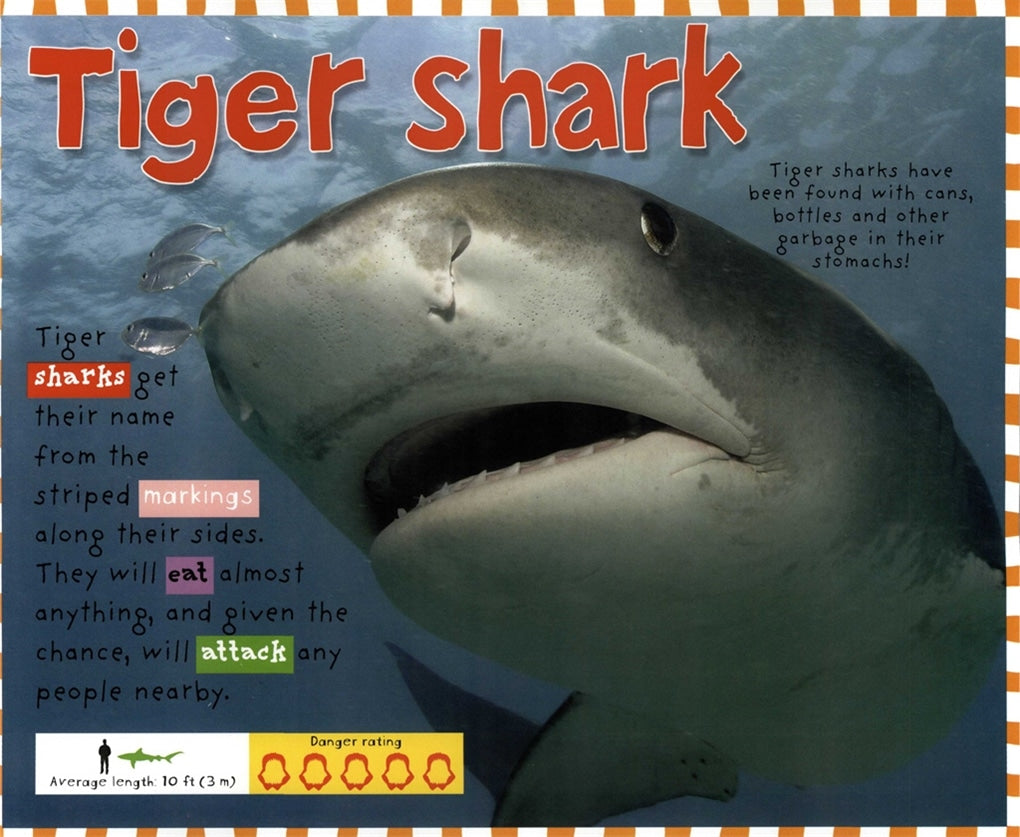 Smart Kids: Sharks | Roger Priddy