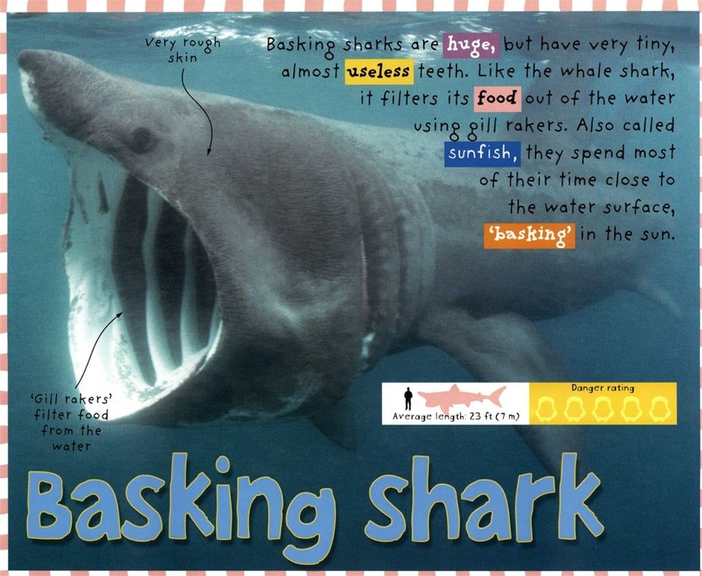 Smart Kids: Sharks | Roger Priddy