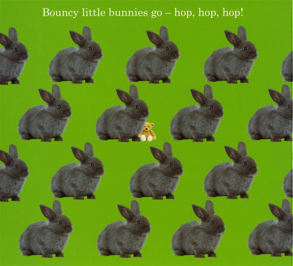 Baby's First Treasure Hunt | Roger Priddy