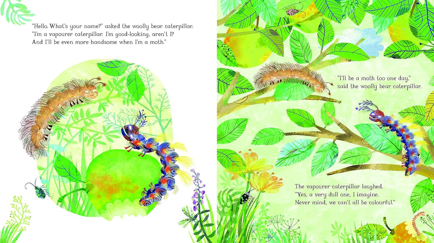 The Woolly Bear Caterpillar