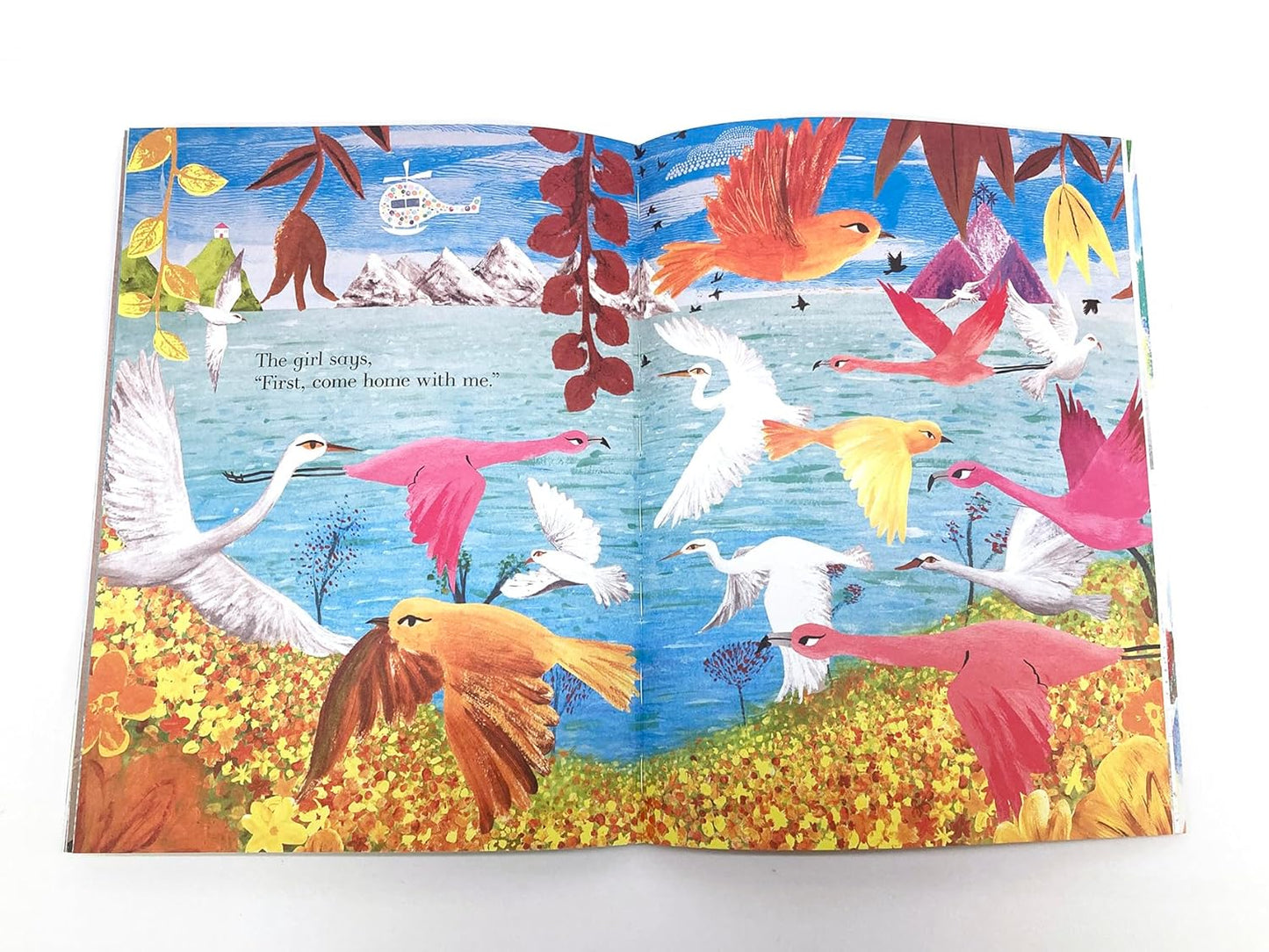 Colors, Colors Everywhere | Julia Donaldson
