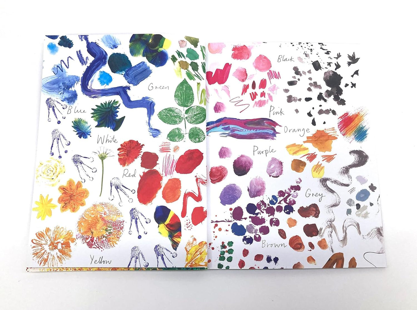 Colors, Colors Everywhere | Julia Donaldson