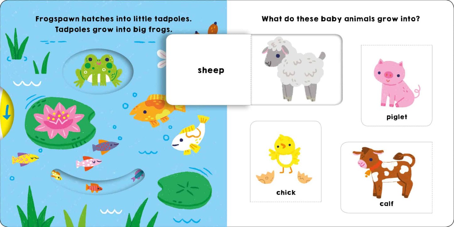 My Little World: Watch Me Grow | Roger Priddy