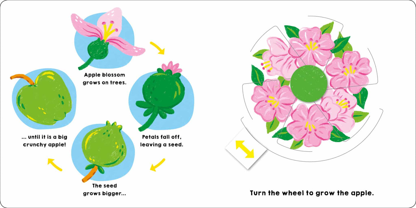 My Little World: Watch Me Grow | Roger Priddy