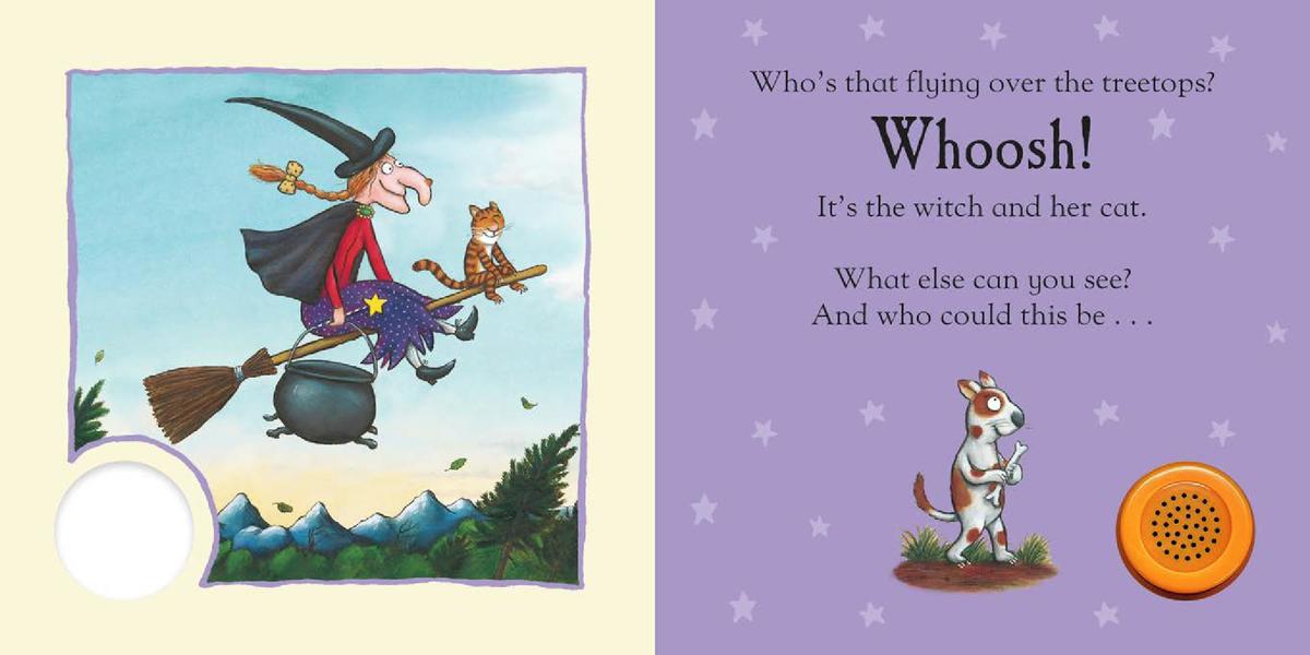 Whoosh! Went the Witch: A Room on the Broom Book | Julia Donaldson