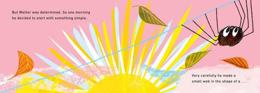 Walter's Wonderful Web | Tim Hopgood