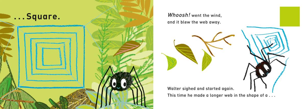 Walter's Wonderful Web | Tim Hopgood