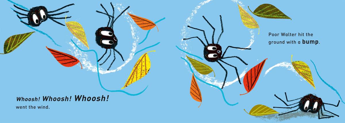 Walter's Wonderful Web | Tim Hopgood